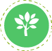 Licenciamento e Regularização Ambiental